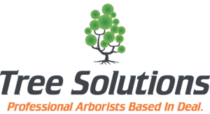 Tree Solutions Tree Solutions